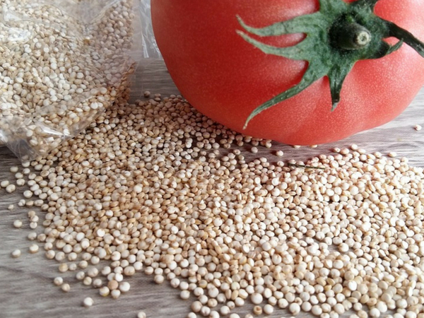 quinoa cru avec une tomate