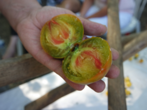 festival de la tomate