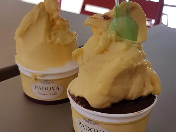 Sorbet vegan sans gluten mangue chocolat noir Padova Montpellier