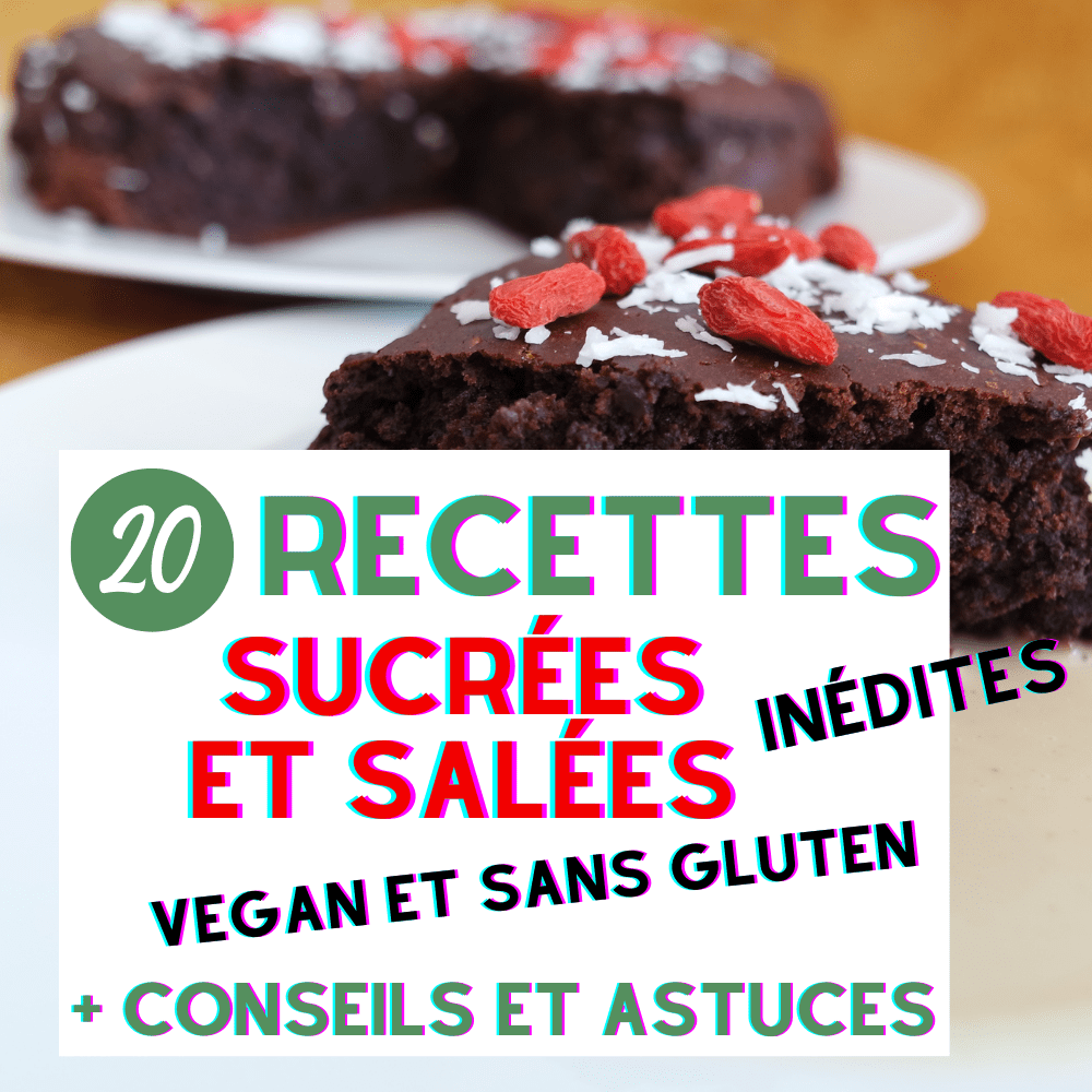 20 recettes vegan et sans gluten ebook cuisine naturelle