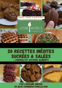 e-book recettes sans gluten vegan sans œuf sans amande gaufres lasagnes cookies