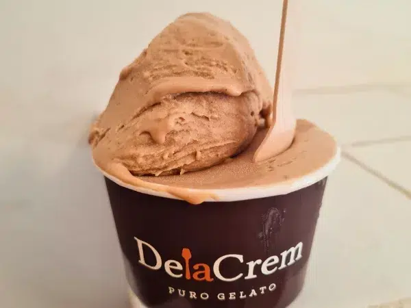 sorbet vegan à la noisette