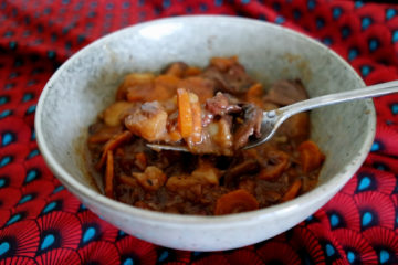 Bol Bourguignon sans viande protéines de soja et carottes