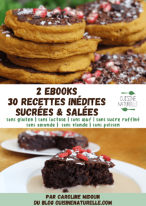 Pack promo ebooks vegan sans gluten cuisine naturelle