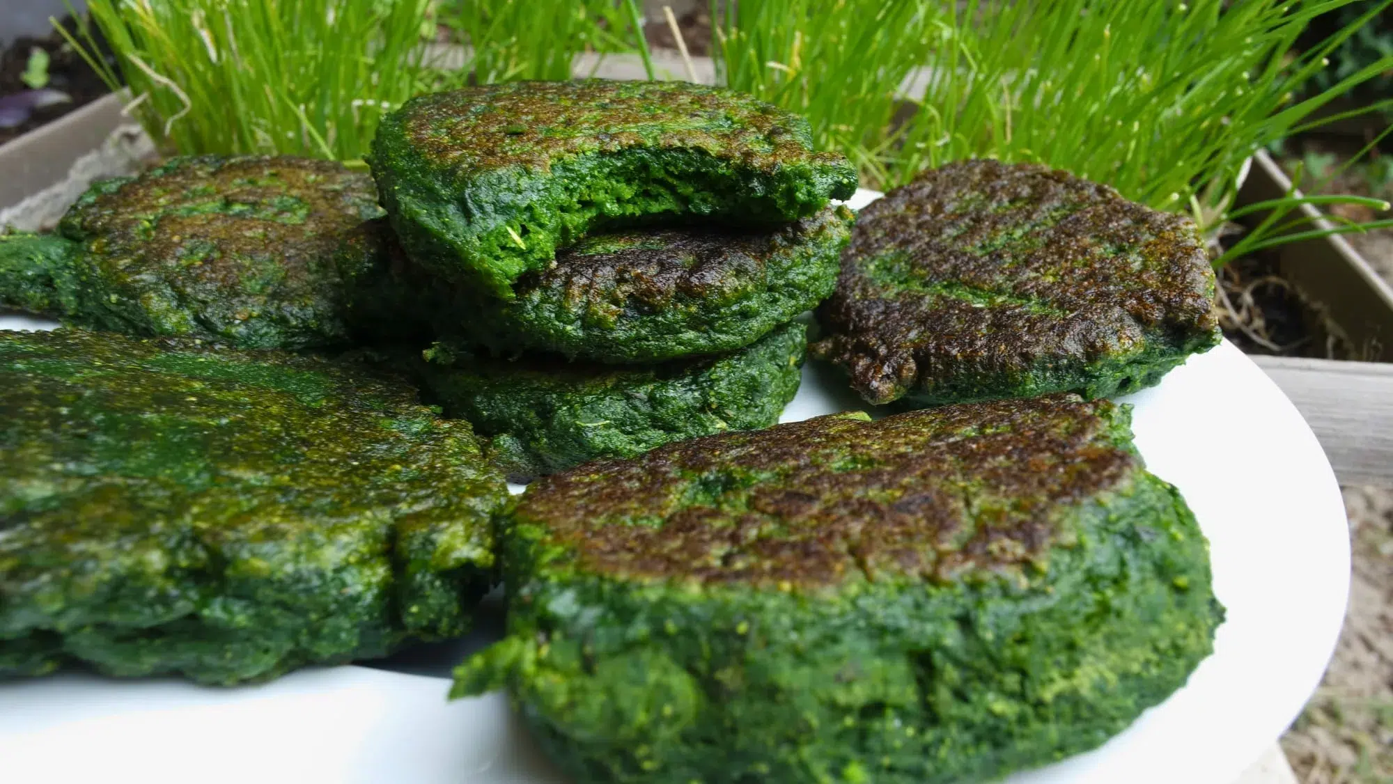 farçou sans viande et vegan aux blettes et tofu fumé sur une assiette blanche