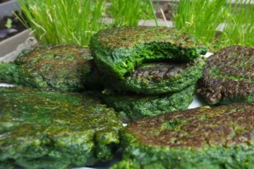 Farçou sans viande et sans gluten cuisine naturelle