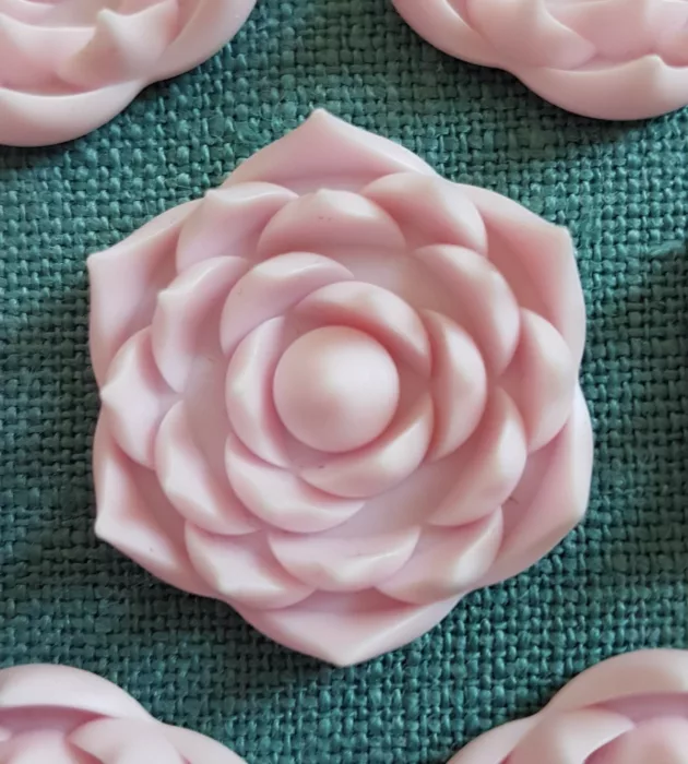 petite fleur rose stimulante sur tapis bleu