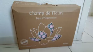 carton champ de fleurs