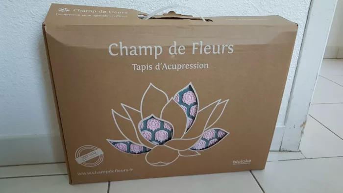 carton à transporter avec anse du tapis d'acupression le champ de fleurs