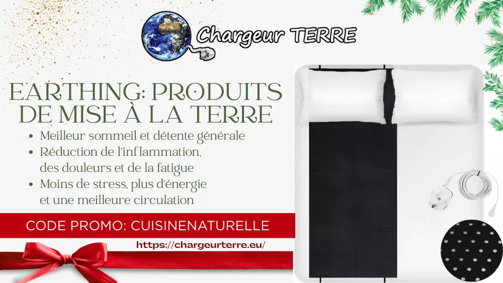 Earthing produits de mise à la terre Noël code promo cuisinenaturelle