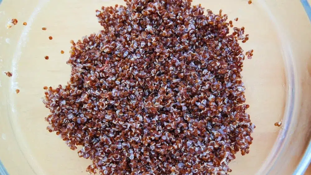 Quinoa rouge natural andes