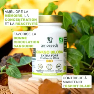 Amoseeds Ginkgo Biloba Bio bienfaits
