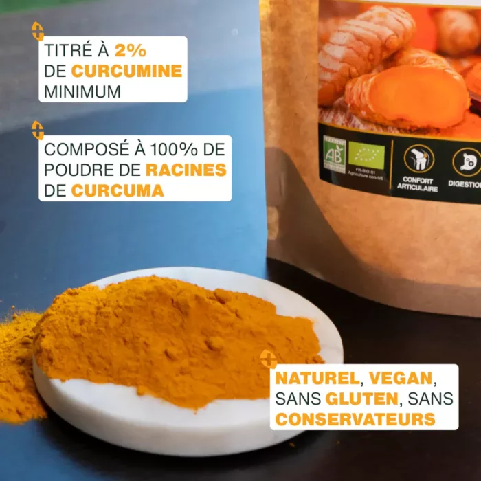 Amoseeds Curcuma bio en poudre